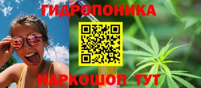 прущие крисы Пугачёв