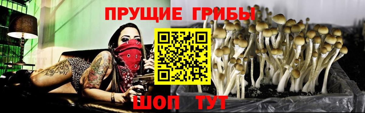 Псилоцибиновые грибы мухоморы Сертолово